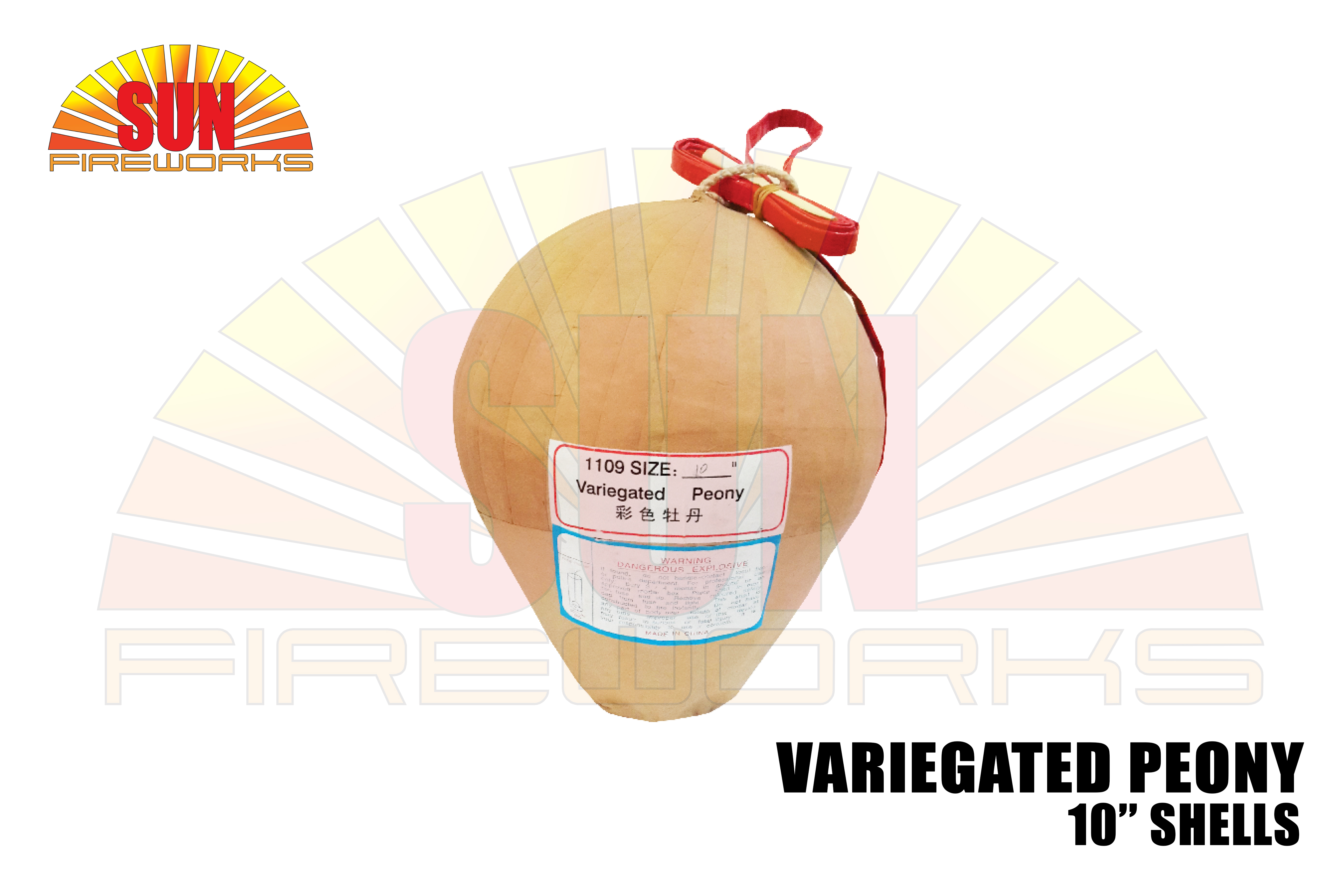 10_shells variegated peony